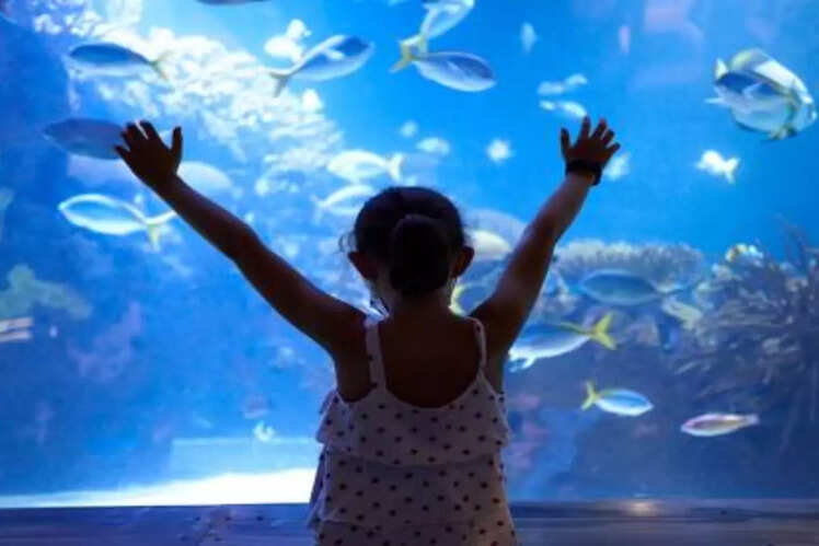 Oceanogr&agrave;fic, Spain