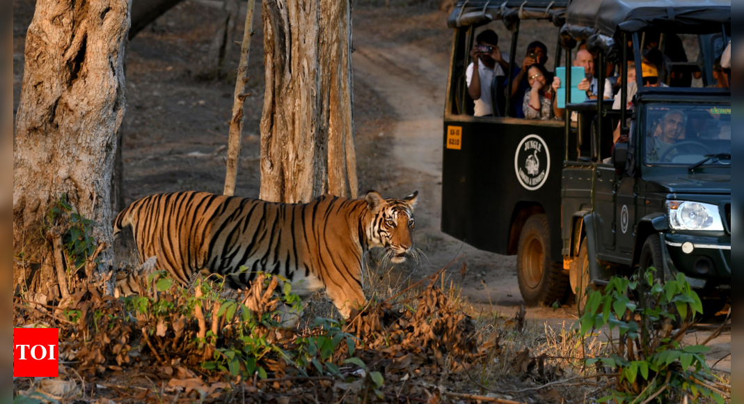 Karnataka mandates government permission for forest filming projects