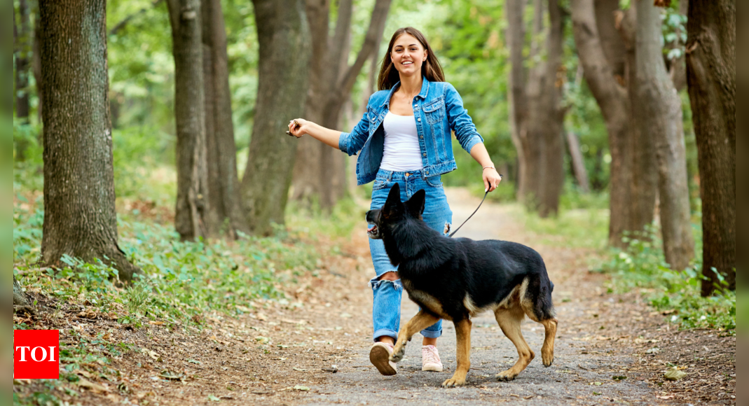 Walking benefits: Is walking like a superpower to humans? What do experts say | – The Times of India