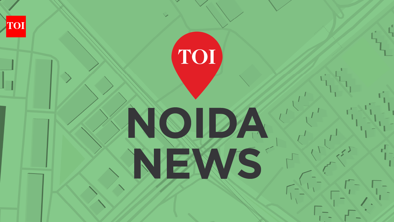 Noida set to replace 2,500 corroded power poles