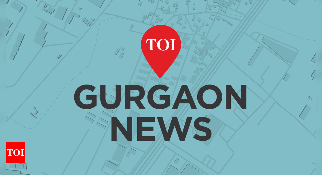 Gurgaon to become Haryana’s 1 of 2 AI hubs, will train youths for tech industry