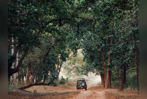 National parks in India that are perfect to visit with friends