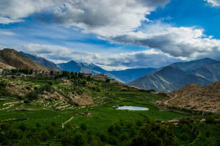 The serene beauty of nature