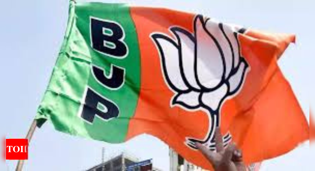 BJP central leadership to consider Karnataka unit overhaul after Delhi polls amid factional struggles