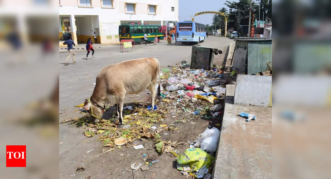 Passengers complain of lack of basic facilities at Maruthamalai bus ...