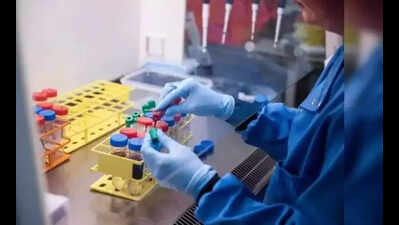 IMTECH celebrates 41st foundation day with focus on BioE3 policy and biotechnology innovations
