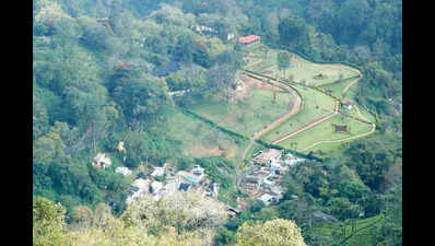 CEAN writes to collector seeking survey on real estate layouts in the Nilgiris