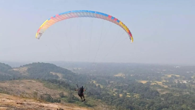 Paragliding activities across Goa suspended