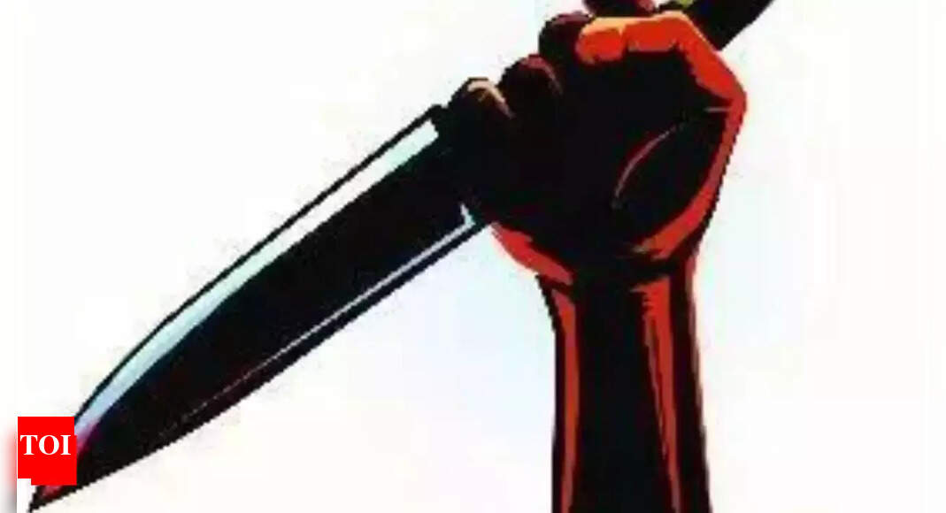 Punjab woman, son injured in scissors attack by ex-worker - The Times ...