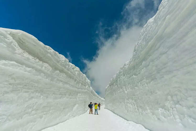 Snow Corridor Train &ndash; Japan