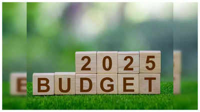 Budget 2025: Travel and tourism industry experts share their key expectations for growth