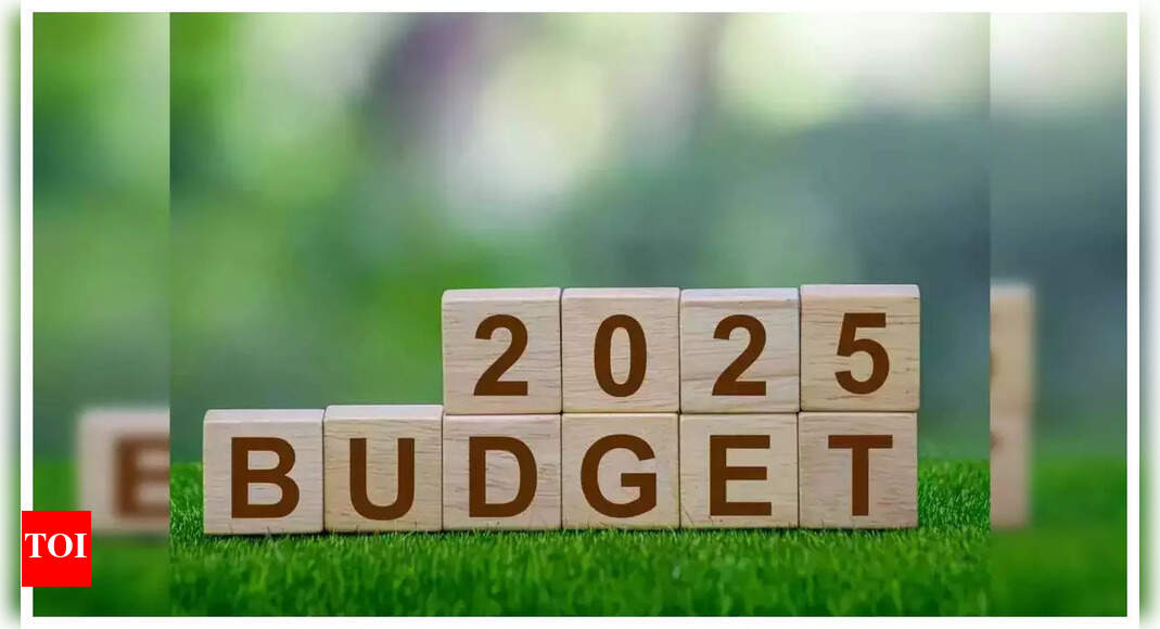 Budget 2025: Travel and tourism industry experts share their key expectations for growth | India Business News - The Times of India