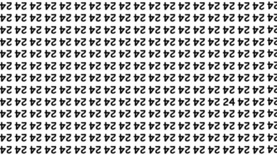 Optical Illusion: Can you spot 24 in this image?