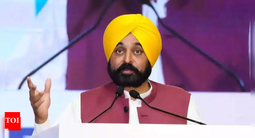 Punjab CM Bhagwant Singh Mann pledges to defend state peace and demands centre to fulfill farmers' needs