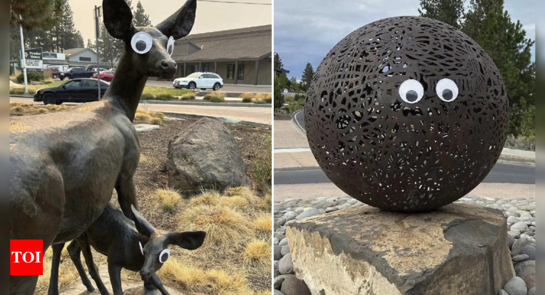 'Googly eye bandit' outs self? Man claims he started viral goofy prank in US state