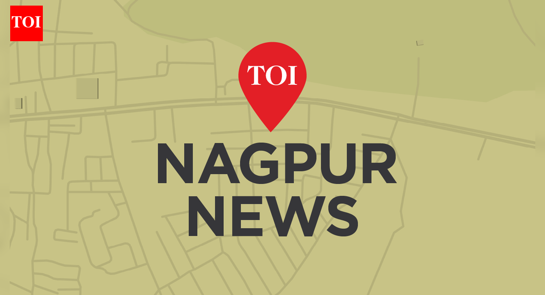 3 Nagpur crematoria to get pollution control systems