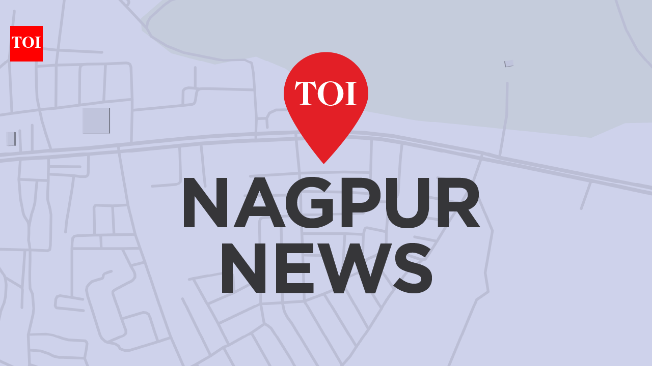 Evonith Steel acquires 85MW Wardha power plant for Rs 232 crore
