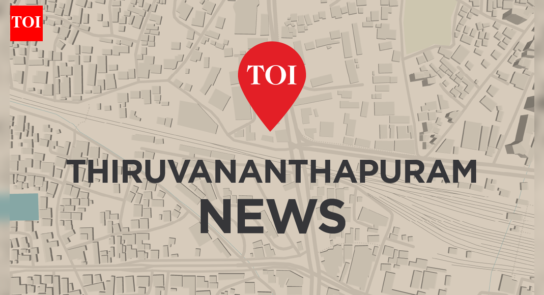 Volcanic ash from Ethiopia disrupts flights to Kerala