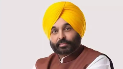 Will ensure exemplary punishment for attempt to damage BR Ambedkar’s statue in Amritsar: CM Bhagwant Mann