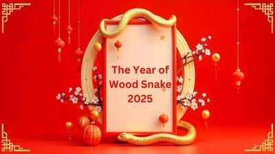 Chinese New Year 2025 When is Chinese New Lunar Year? Know Date