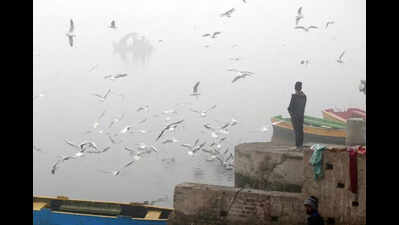 Ahead of polls: Delhi & Haryana CMs spar over ‘ammonia’ in Yamuna water