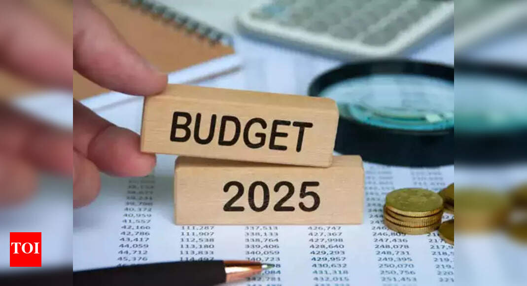 Budget 2025: Experts advocate AI integration and startup support to revolutionise education sector