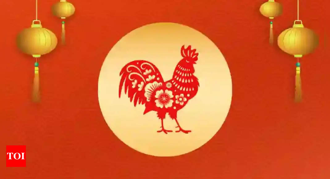 Chinese Rooster Horoscope 2025: A year to balance exploration and knowledge – The Times of India