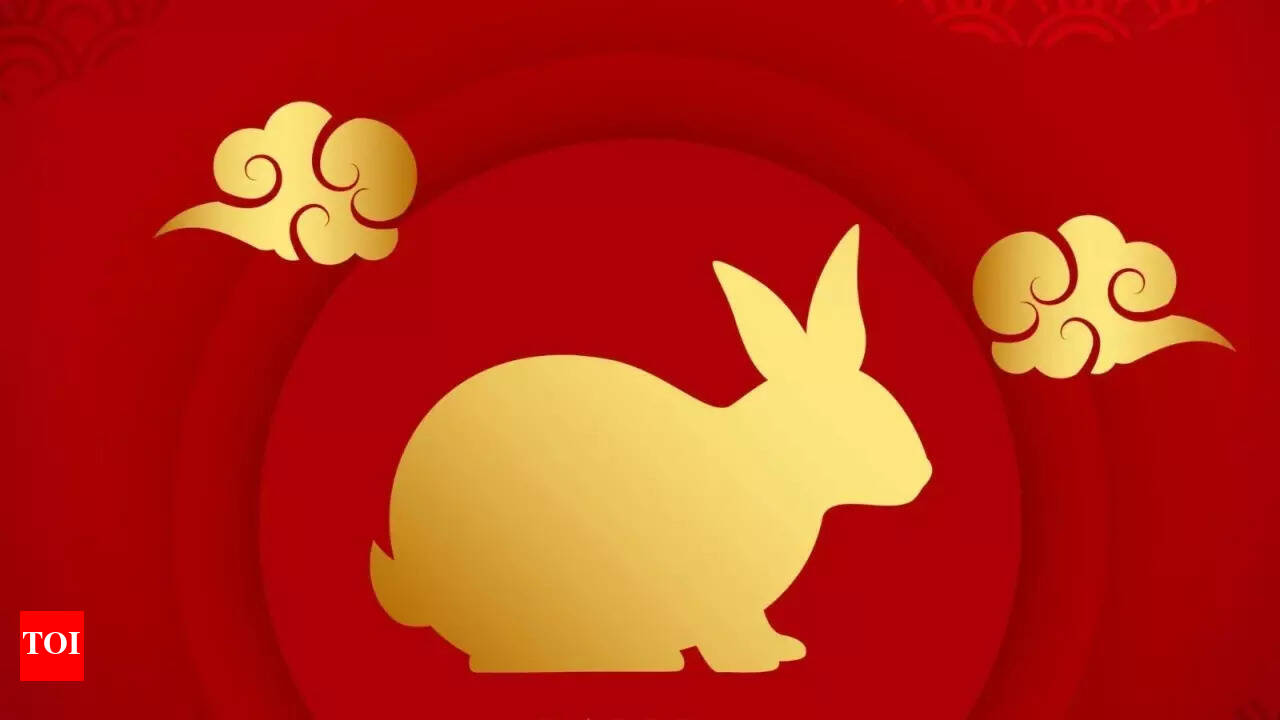 Chinese Rabbit Horoscope 2025: Growth Through Learning and Reflection - The  Times of India