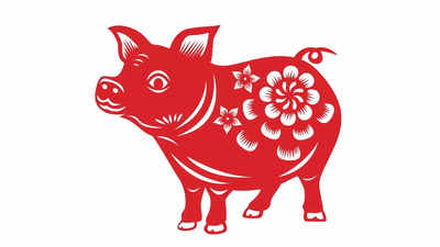 Chinese Pig Horoscope 2025: A Year of External Connections and Internal Growth