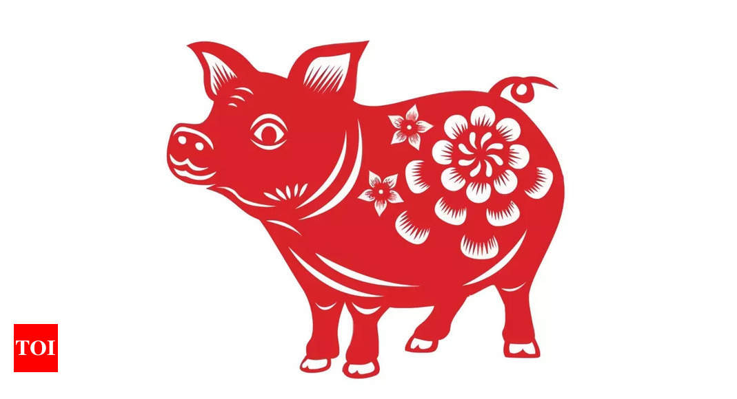 Chinese Pig Horoscope 2025: A Year of External Connections and Internal Growth – The Times of India