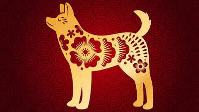 Chinese Dog Horoscope 2025: A Time to Open Yourself to New Experiences