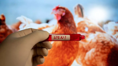 New strain of bird flu confirmed in US