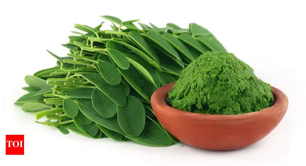 Moringa benefits: Get healthy skin and strong hair with Moringa chutney; recipe inside | – The Times of India Moringa benefits: Get healthy skin and strong hair with Moringa chutney; recipe inside | – The Times of India