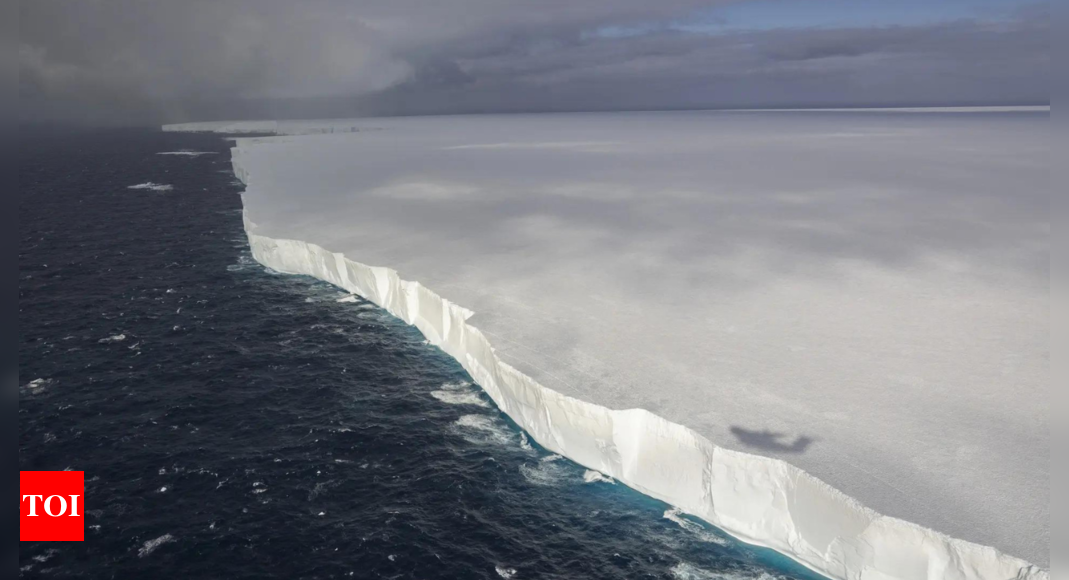 ‘World’s biggest iceberg’ drifts towards Antarctic penguin island