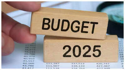 Budget 2025: Boost to PLI scheme, tax reliefs for infrastructure investments and more on tech industry wishlist