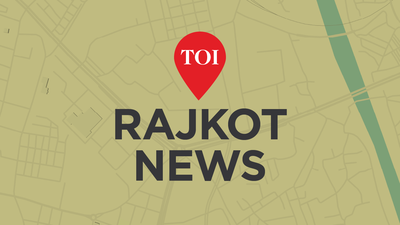 TN brothers on vacation with father to Gujarat drown