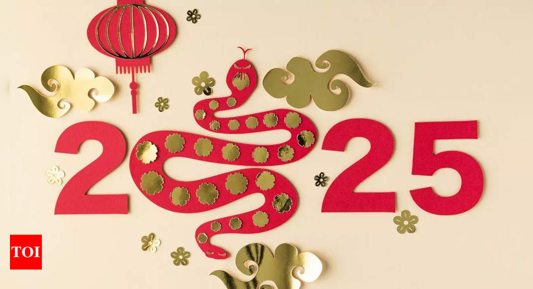 interesting facts about chinese new year 2025