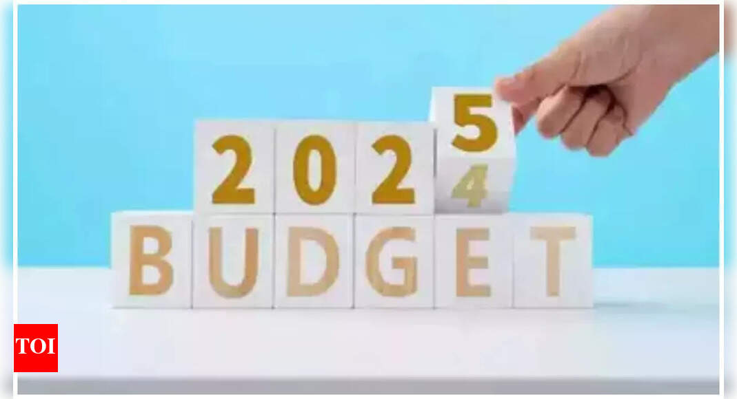 Budget 2025: Travel and tourism industry leaders call for policy reforms ahead of the big day | India Business News - The Times of India