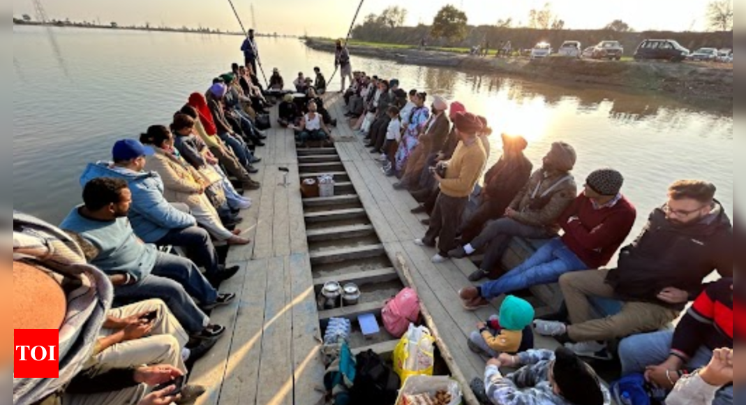 Birds, dolphins, eco tourism, river pollution to take centre stage on World Wetlands Day in Punjab | Chandigarh News