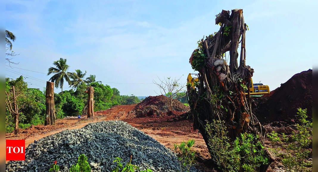 Porvorim site’s last banyan to be moved safely: Govt to HC