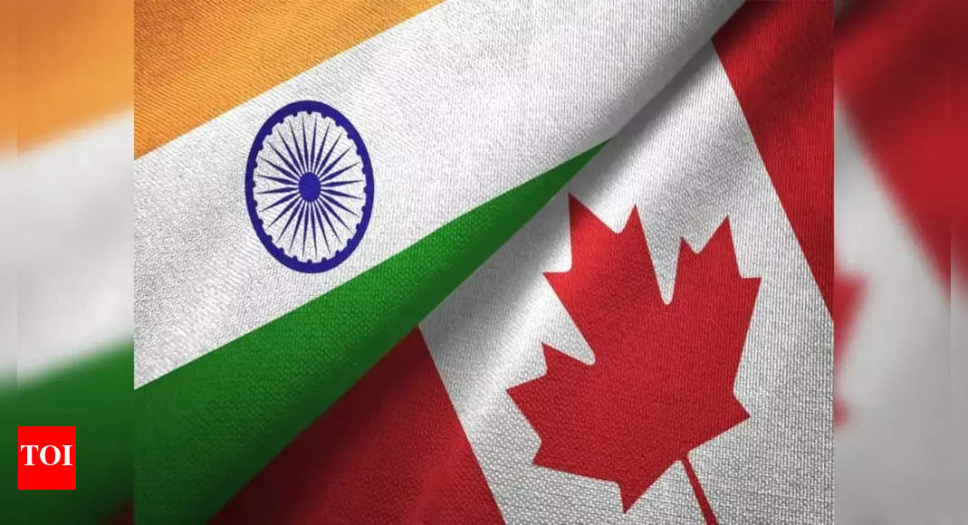 India: Canada creating 'environment for illegal migration and crime'