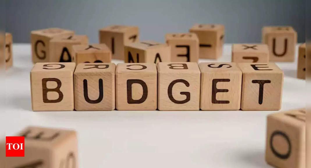 Budget 2025: Experts call for investment in innovation, teacher training, and accessible education for disadvantaged students - The Times of India