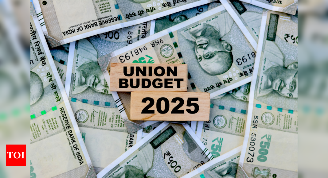 Budget 2025: IT & electronics industry urges focus on Make in India, AI and more