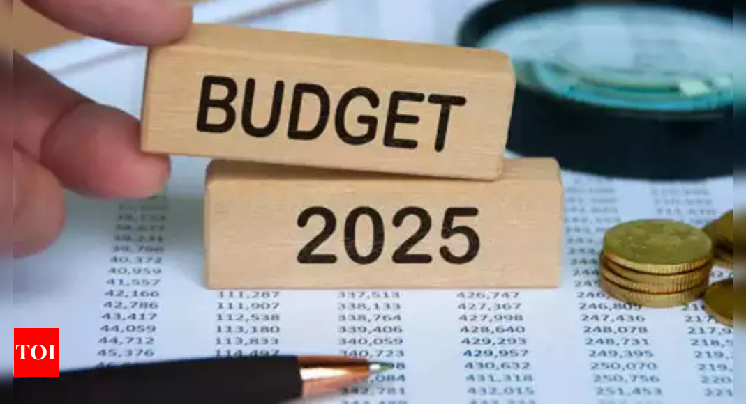 Will Budget 2025 provide tax sops for purchase of EVs and perk-clarity?