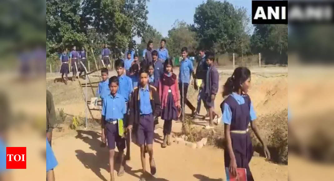 Chhattisgarh Adopts 'Bagless' Learning Model in Balrampur - The Times of India