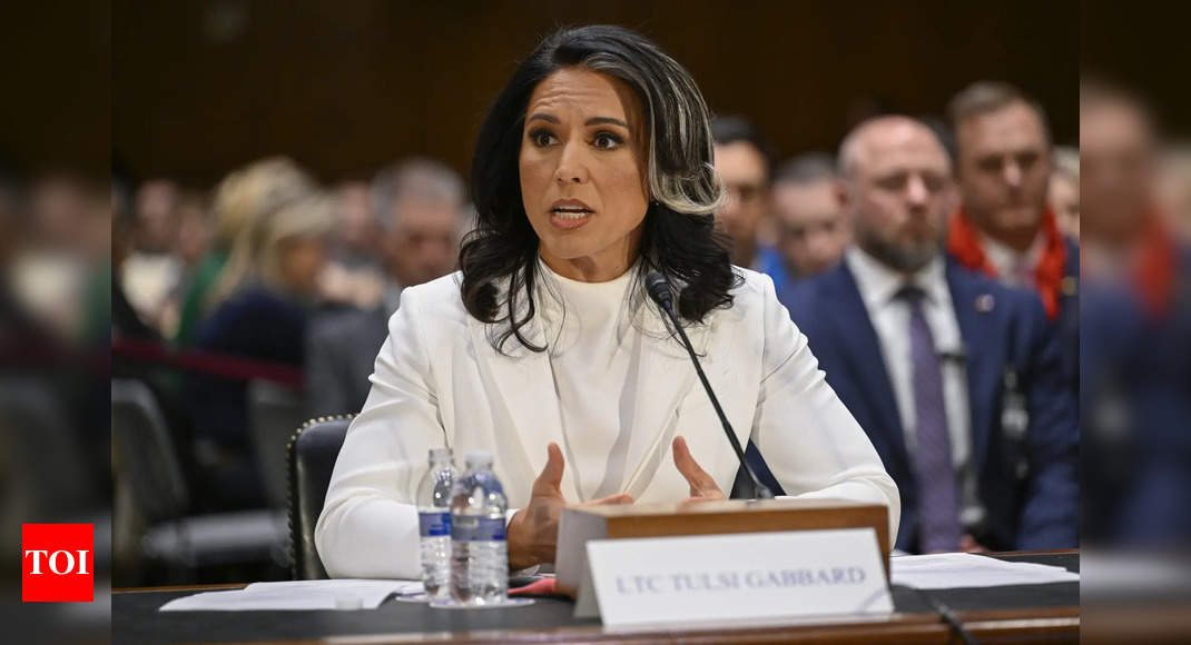 Tulsi Gabbard blames Biden for politicising the intelligence community