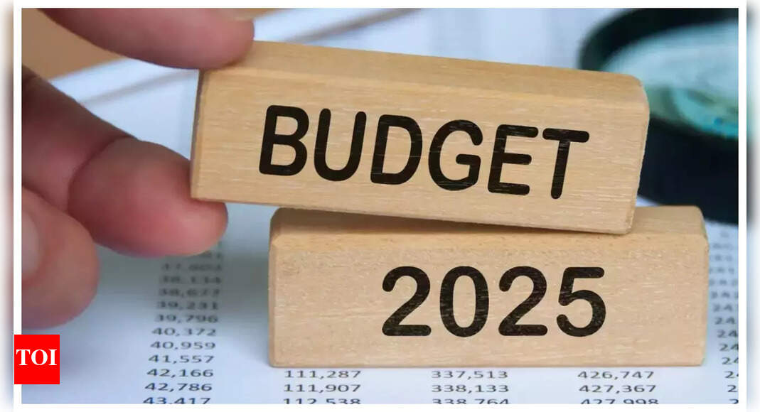 Budget 2025: The travel and tourism industry looks forward to key reforms in tax, safety, employment and more | India Business News - The Times of India