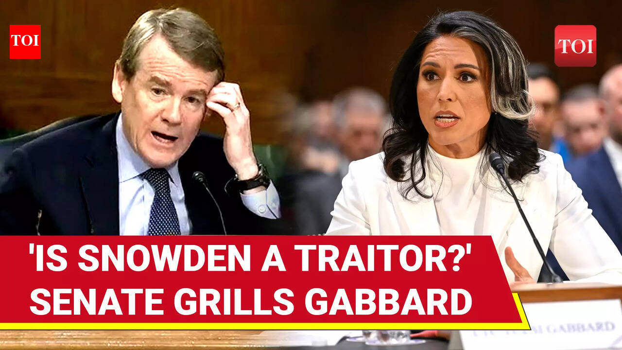 Trump Intel Czar Tulsi Gabbard Vs Michael Bennet: Shouting Match In US ...