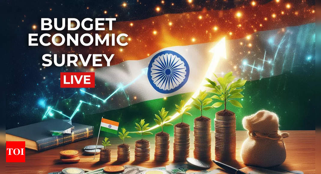 Budget Economic Survey 2025 Live Updates: Survey pegs GDP growth at 6.3-6.8% for FY26