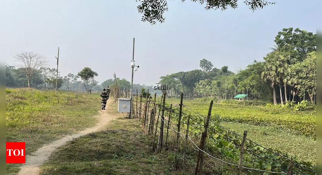 Stop cultivation of tall crops near Indo-Bangla border to deny infiltrators cover: BSF to state